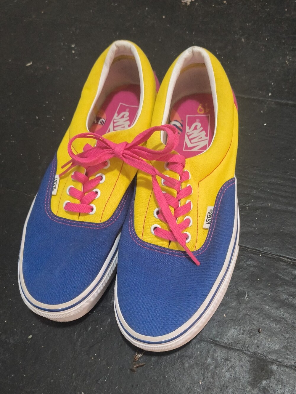 Men's Size 9 Limited Edition Vans. L